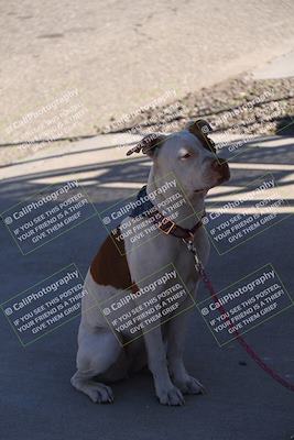 media/Oct-21-2023-Speed Ventures (Sat) [[ddf75163c5]]/Around the Pits/